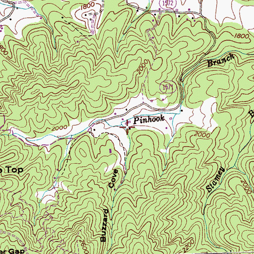 Topographic Map of Buzzard Cove, NC