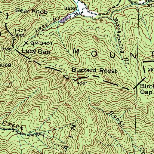 Topographic Map of Buzzard Roost, NC