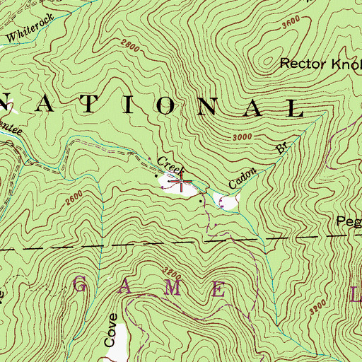 Topographic Map of Cadon Branch, NC