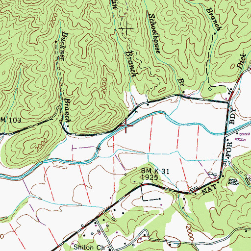 Topographic Map of Caesar Austin Branch, NC