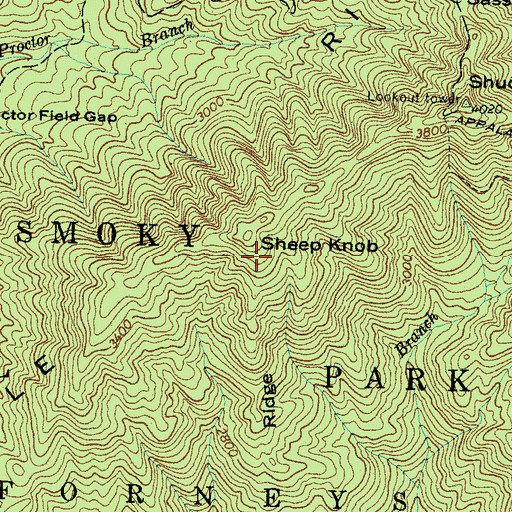 Topographic Map of Canepatch Ridge, NC