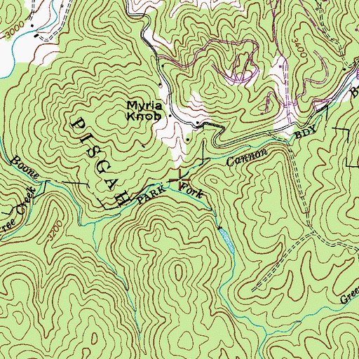 Topographic Map of Cannon Branch, NC
