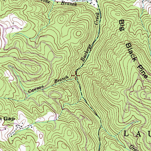 Topographic Map of Cannon Branch, NC