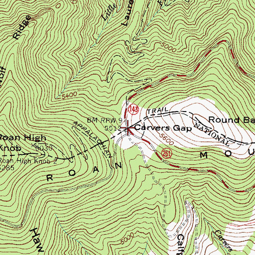 Topographic Map of Carvers Gap, NC