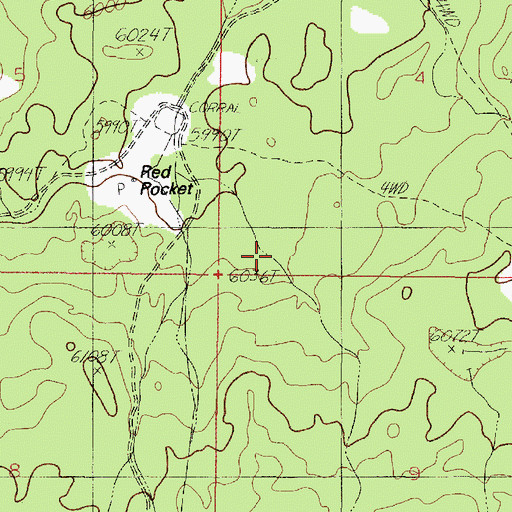 Topographic Map of Red Pocket, AZ