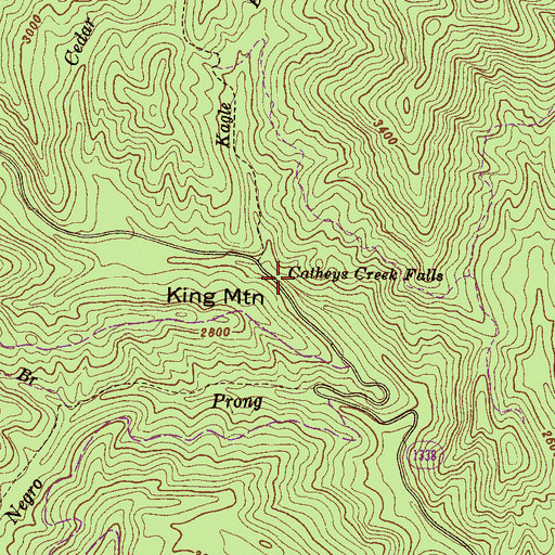 Topographic Map of Catheys Creek Falls, NC