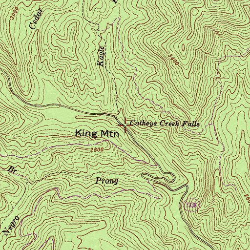 Topographic Map of Catheys Creek Falls, NC