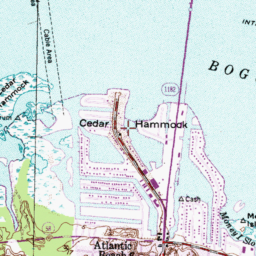 Topographic Map of Cedar Hammock, NC