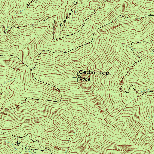 Topographic Map of Cedar Top, NC
