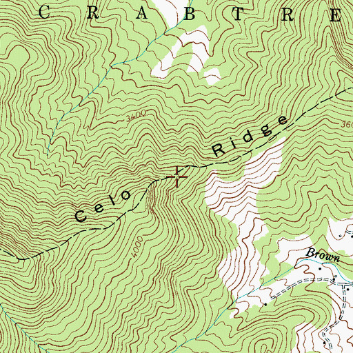 Topographic Map of Celo Ridge, NC