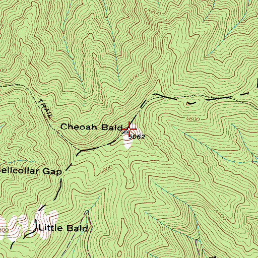 Topographic Map of Cheoah Bald, NC