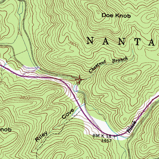 Topographic Map of Chestnut Branch, NC