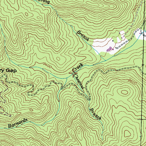 Topographic Map of Chestnut Branch, NC