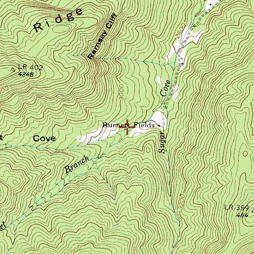Topographic Map of Chestnut Cove, NC