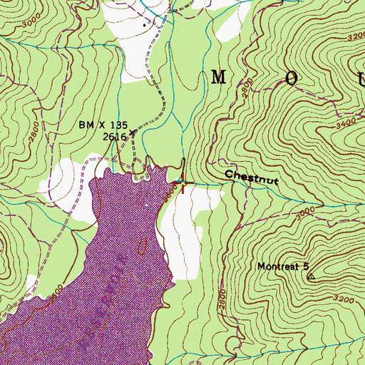 Topographic Map of Chestnut Cove, NC
