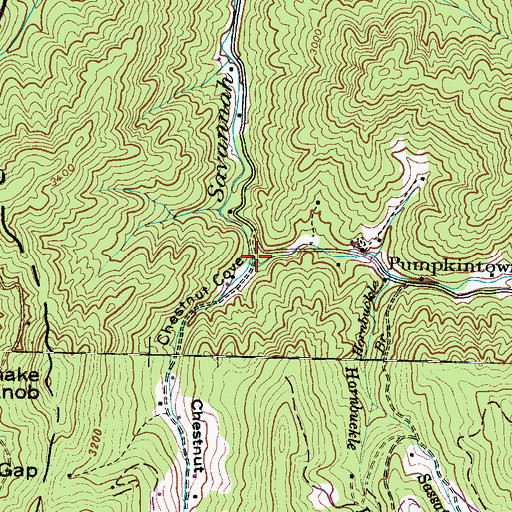 Topographic Map of Chestnut Cove, NC
