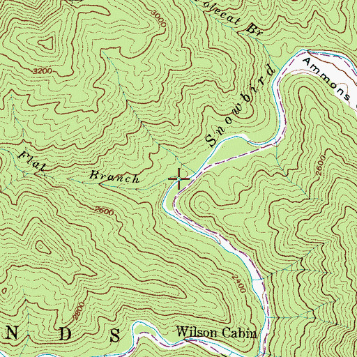 Topographic Map of Chestnut Flat Branch, NC