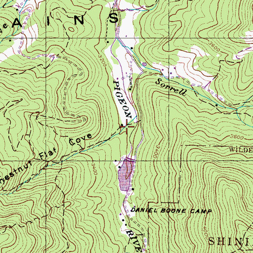 Topographic Map of Chestnut Flat Cove, NC