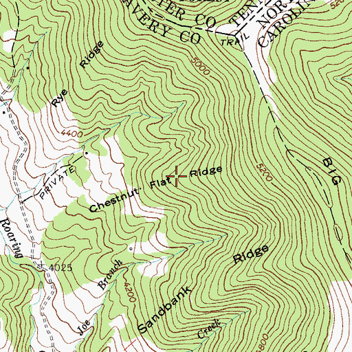 Topographic Map of Chestnut Flat Ridge, NC