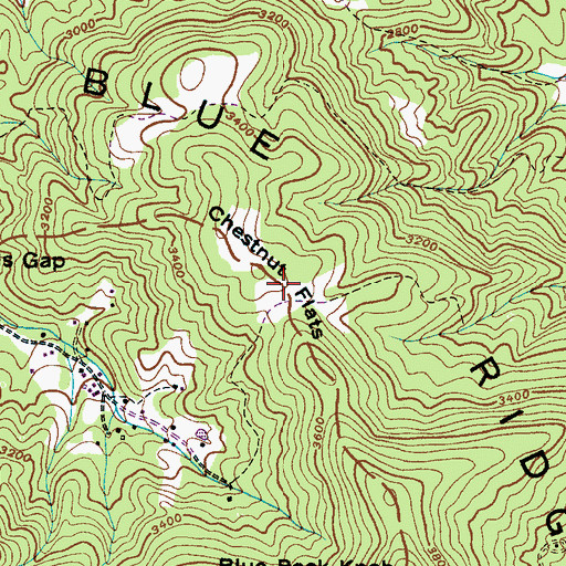 Topographic Map of Chestnut Flats, NC