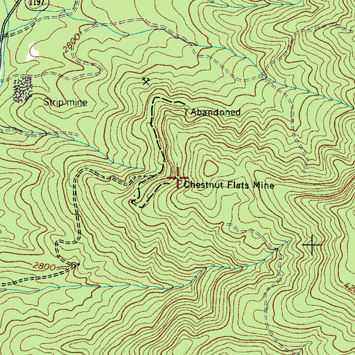 Topographic Map of Chestnut Flats Mine, NC