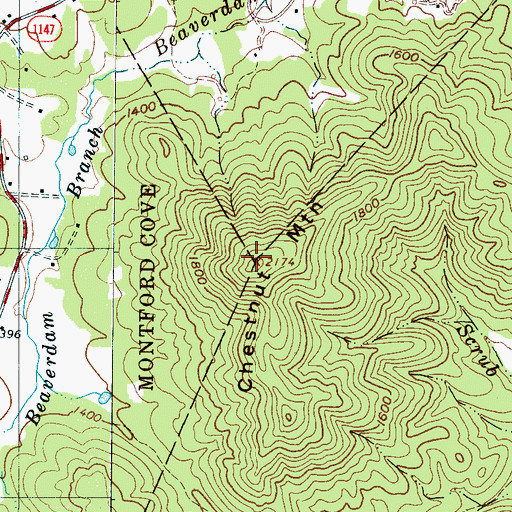 Topographic Map of Chestnut Mountain, NC