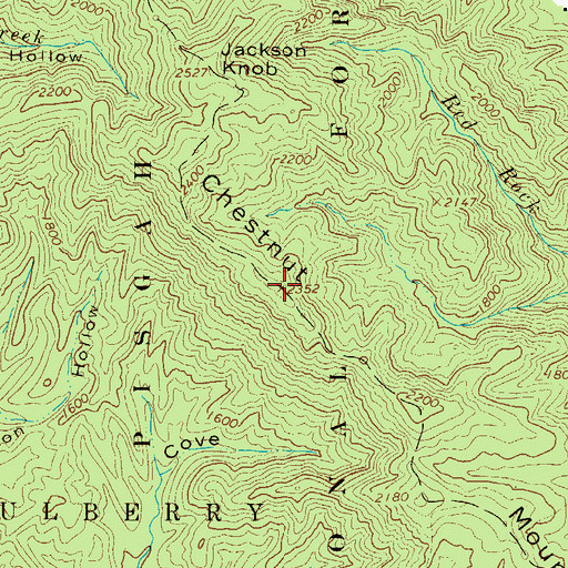 Topographic Map of Chestnut Mountain, NC