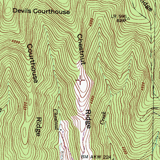 Topographic Map of Chestnut Ridge, NC