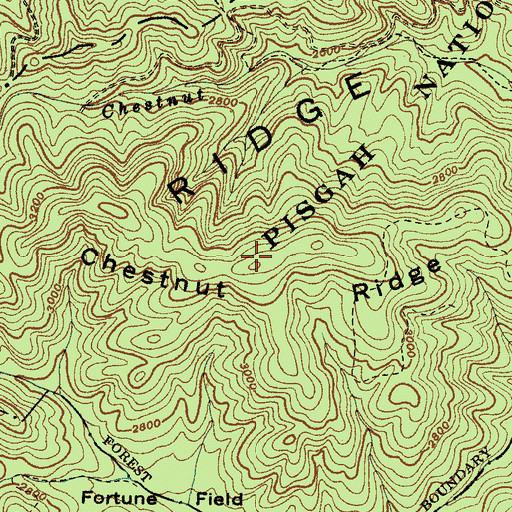 Topographic Map of Chestnut Ridge, NC