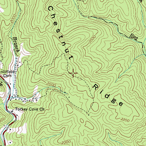 Topographic Map of Chestnut Ridge, NC