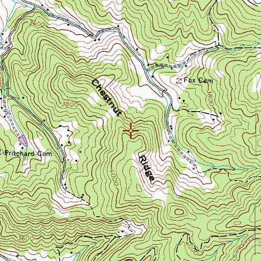 Topographic Map of Chestnut Ridge, NC