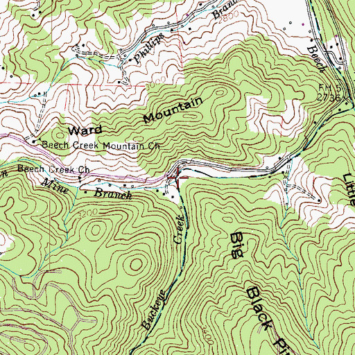 Topographic Map of Clingman Mine Branch, NC