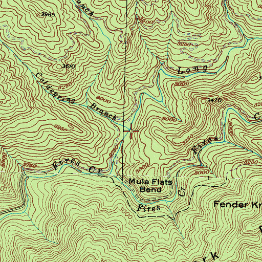 Topographic Map of Coldspring Branch, NC