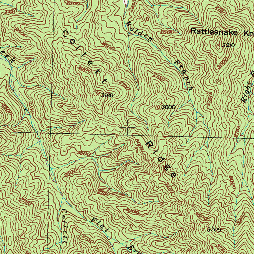 Topographic Map of Collett Ridge, NC