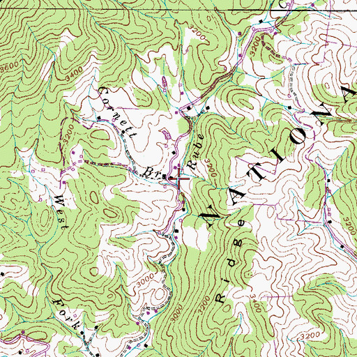 Topographic Map of Cornett Branch, NC
