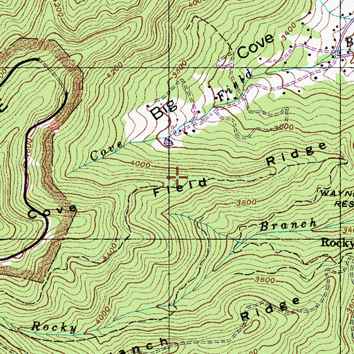 Topographic Map of Cove Field Ridge, NC