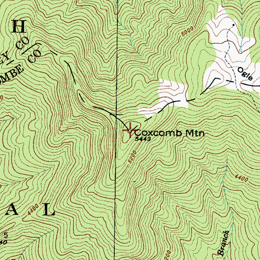 Topographic Map of Coxcomb Mountain, NC