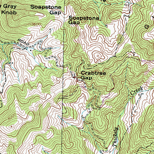 Topographic Map of Crabtree Gap, NC
