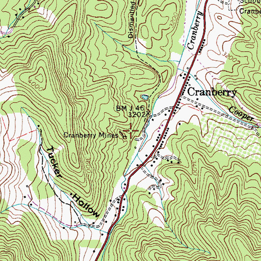 Topographic Map of Cranberry Mines, NC