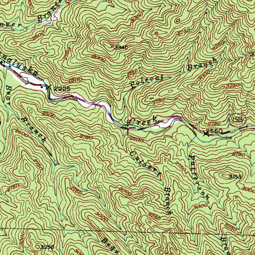 Topographic Map of Culbert Branch, NC
