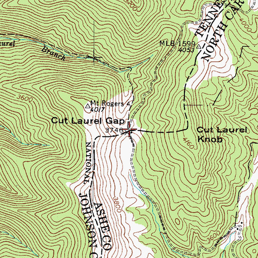 Topographic Map of Cut Laurel Gap, NC