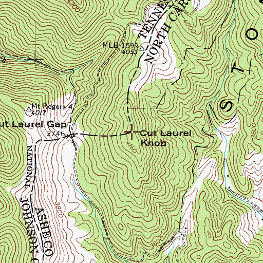 Topographic Map of Cut Laurel Knob, NC