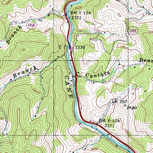 Topographic Map of Cynthia Branch, NC