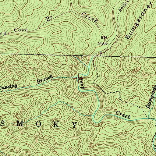 Topographic Map of Dancing Branch, NC