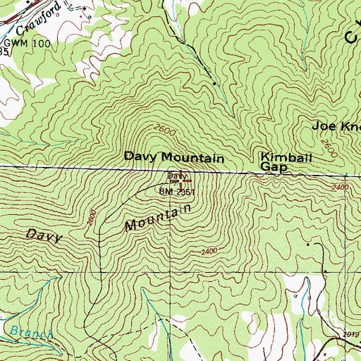 Topographic Map of Davy Mountain, NC
