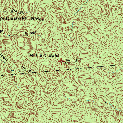 Topographic Map of DeHart Bald, NC