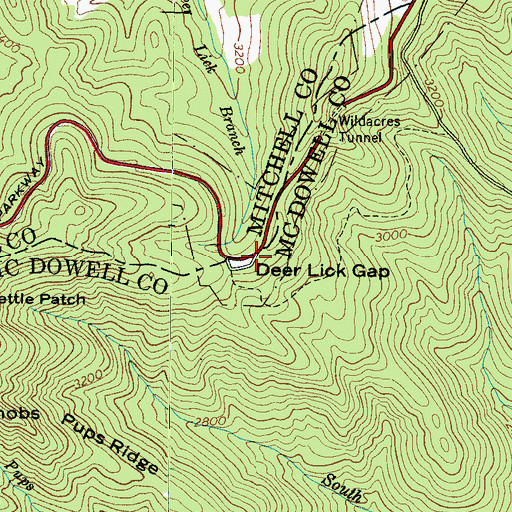 Topographic Map of Deer Lick Gap, NC