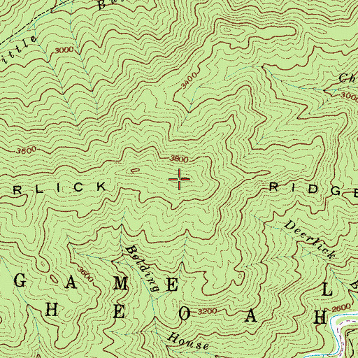 Topographic Map of Deerlick Ridge, NC
