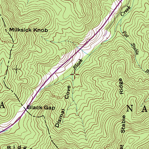 Topographic Map of Dismal Cove, NC