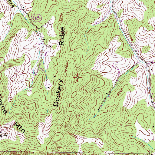Topographic Map of Dockery Ridge, NC